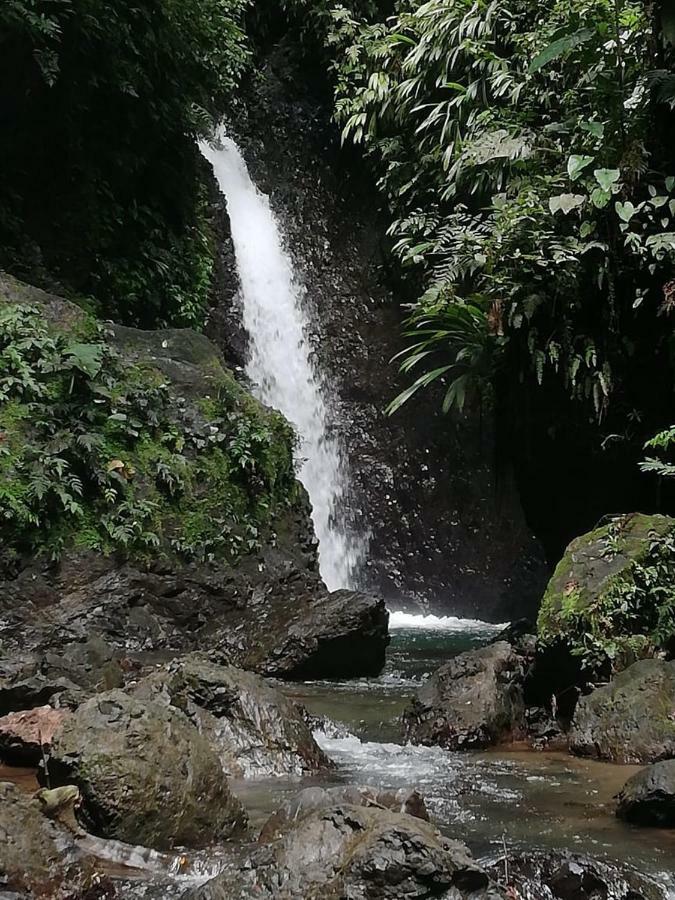Posada El Acuario Bahia Solano Exteriér fotografie