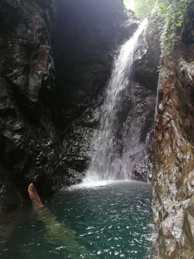 Posada El Acuario Bahia Solano Exteriér fotografie